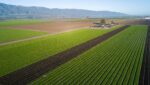 Farm Loan Refinancing California Agriculture