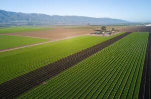 Farm Loan Refinancing California Agriculture
